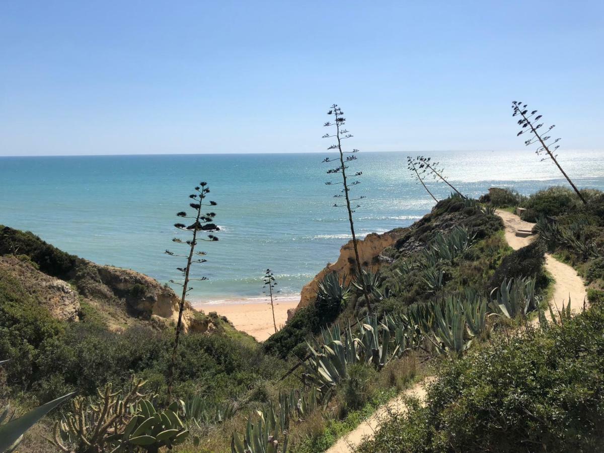 T3 Holiday Cottage Near The Beach | C225 Porches  Bagian luar foto